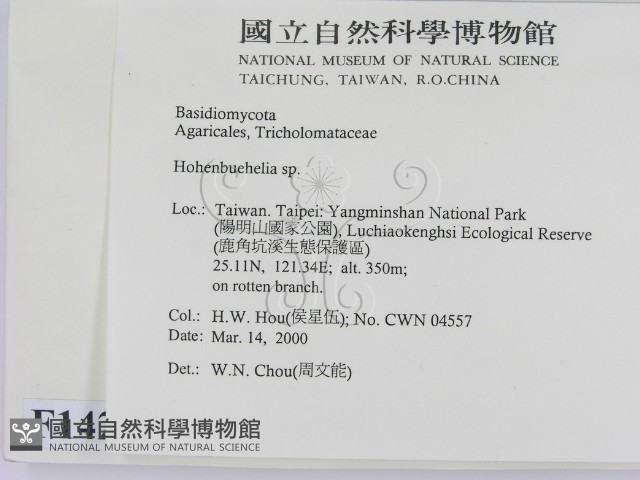 登錄號:F0014211藏品圖，第2張