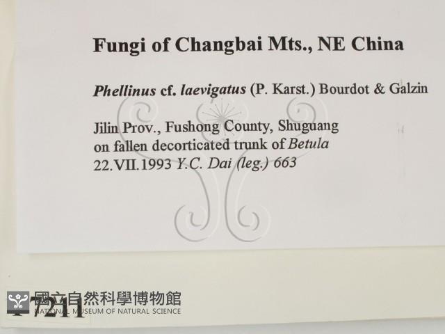 登錄號:F0007211藏品圖，第2張