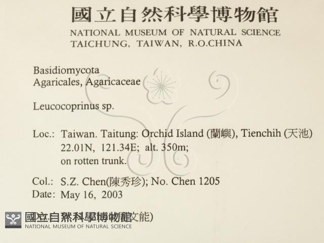 登錄號:F0015211藏品圖，第2張