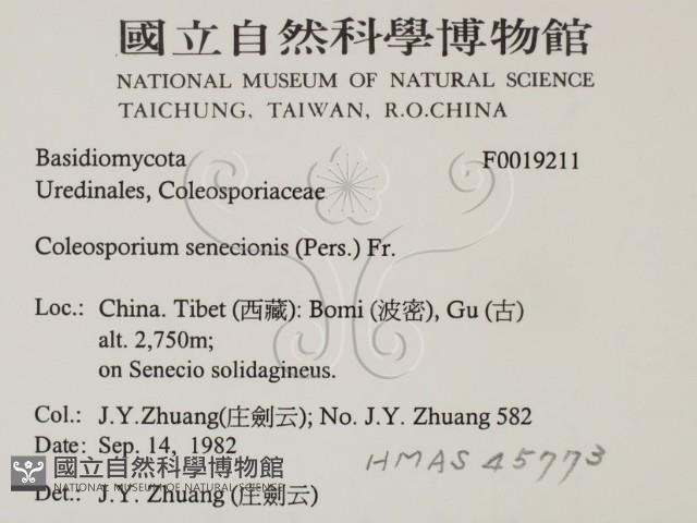 登錄號:F0019211藏品圖，第2張