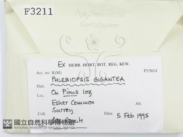 登錄號:F0003211藏品圖，第2張