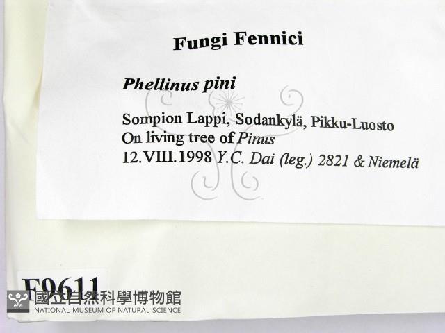 登錄號:F0009611藏品圖，第2張