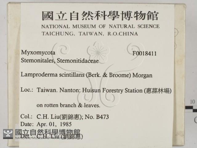 登錄號:F0018411藏品圖，第2張