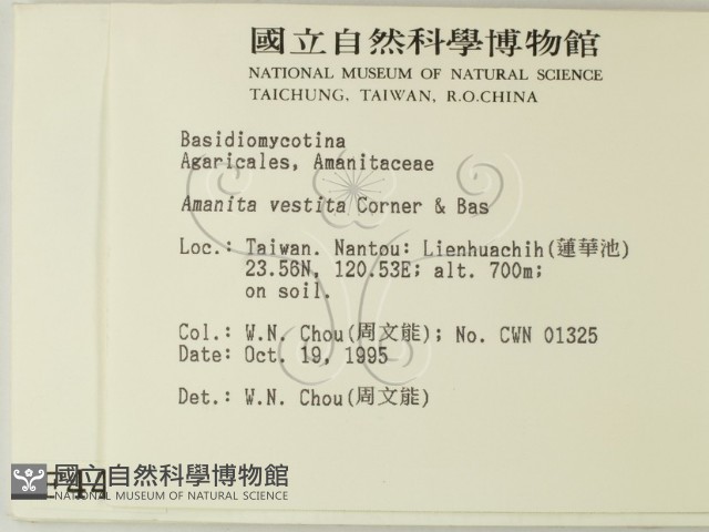 登錄號:F0004411藏品圖，第2張