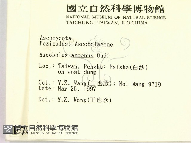 登錄號:F0007411藏品圖，第2張