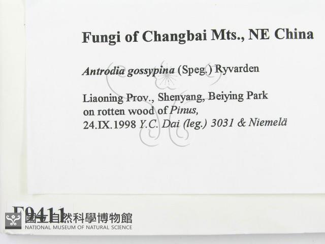 登錄號:F0009411藏品圖，第2張