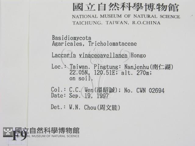 登錄號:F0009711藏品圖，第2張