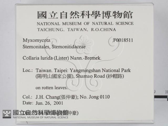 登錄號:F0018511藏品圖，第2張