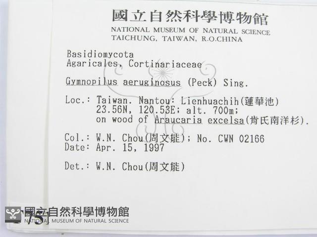 登錄號:F0007511藏品圖，第2張