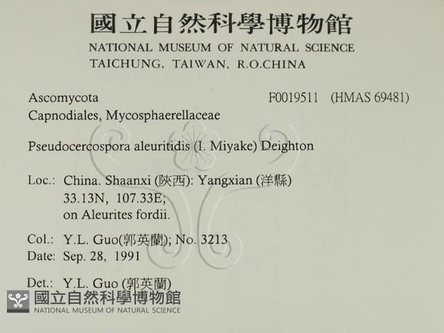 登錄號:F0019511藏品圖，第2張