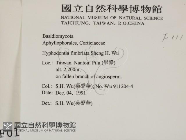 登錄號:F0000111藏品圖，第2張