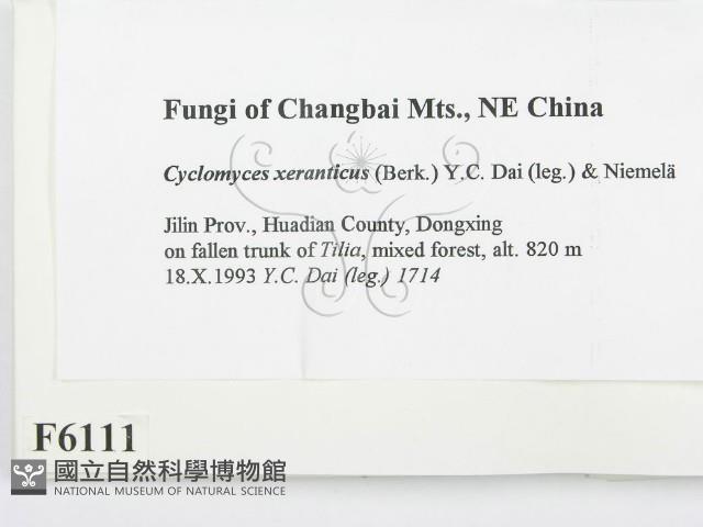 登錄號:F0006111藏品圖，第2張