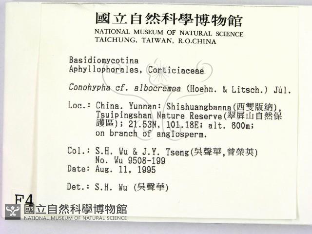 登錄號:F0004111藏品圖，第2張