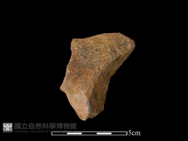 連杯形器藏品圖，第2張