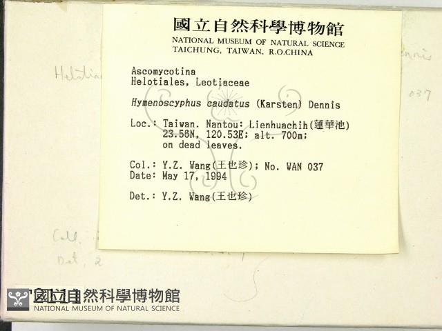 登錄號:F0002111藏品圖，第2張