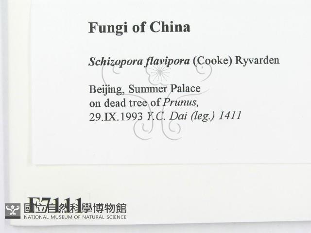 登錄號:F0007111藏品圖，第2張