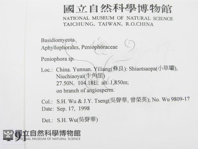 筍殼菌屬藏品圖，第2張