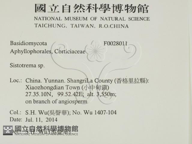 登錄號:F0028011藏品圖，第2張
