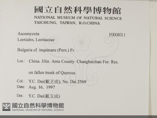 登錄號:F0008011藏品圖，第2張