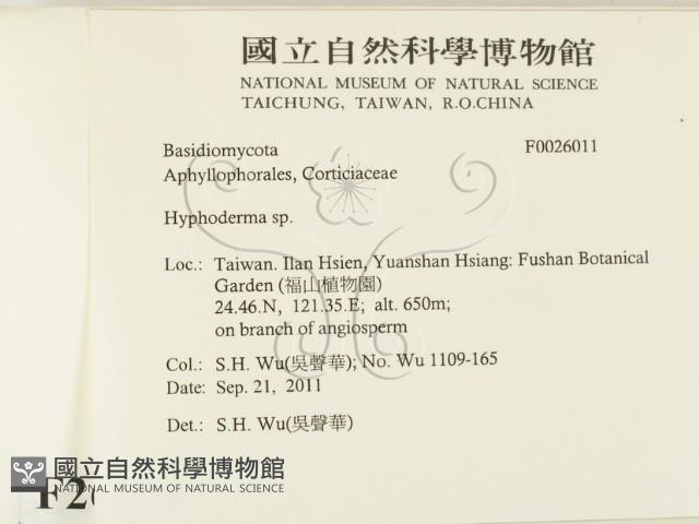 絲皮菌屬藏品圖，第2張