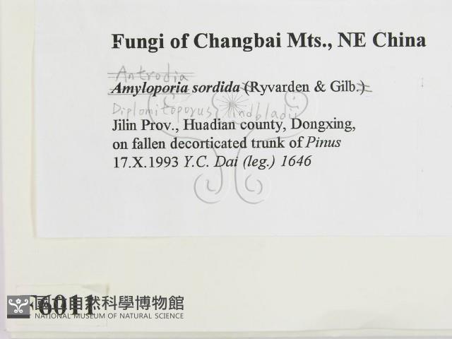 登錄號:F0006011藏品圖，第2張