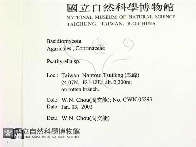 登錄號:F0016011藏品圖，第2張