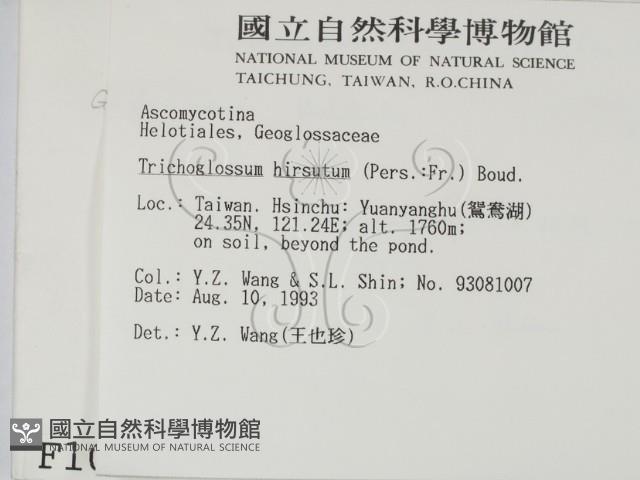 登錄號:F0001011藏品圖，第2張