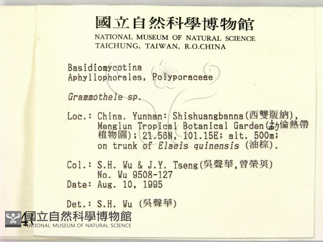 登錄號:F0004011藏品圖，第2張