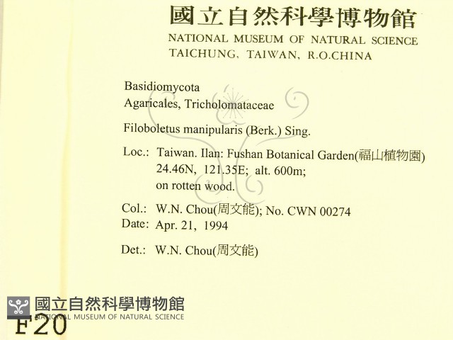 登錄號:F0002011藏品圖，第2張