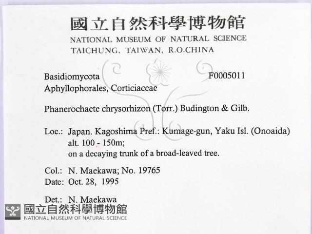 登錄號:F0005011藏品圖，第2張