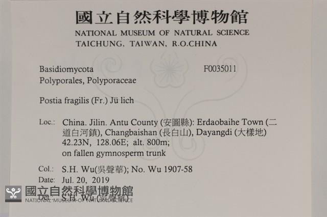 登錄號:F0035011藏品圖，第2張