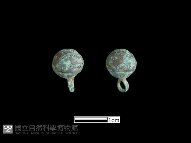 鈕子藏品圖，第1張