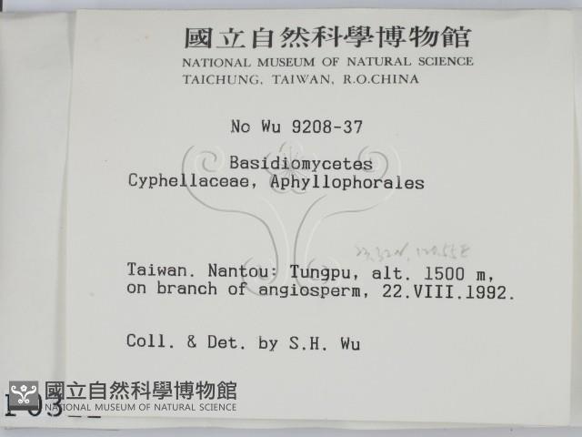 登錄號:F0000311藏品圖，第2張