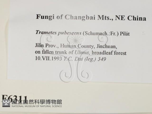 登錄號:F0006311藏品圖，第2張