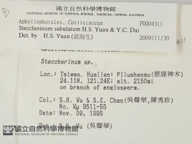 登錄號:F0004311藏品圖，第2張