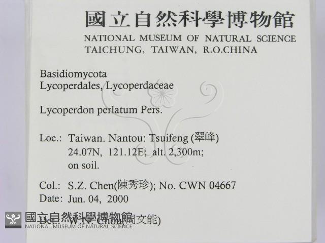 登錄號:F0014311藏品圖，第2張