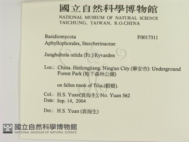 登錄號:F0017311藏品圖，第2張