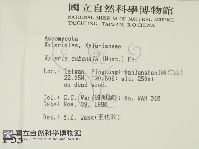 登錄號:F0005311藏品圖，第2張