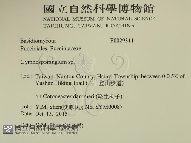 Accession Number:F0029311 Collection Image, Figure 2, Total 2 Figures