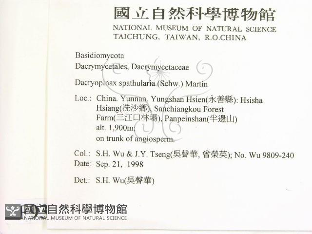 登錄號:F0009311藏品圖，第2張