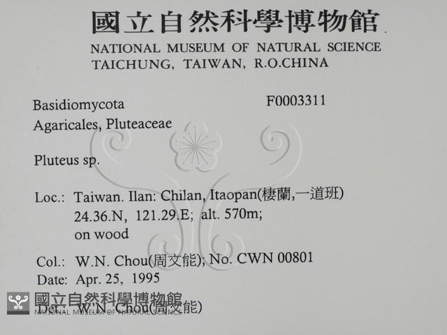 登錄號:F0003311藏品圖，第2張