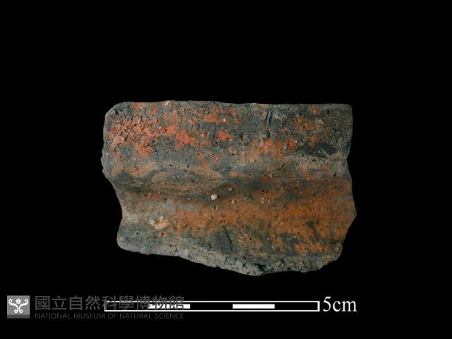 陶罐藏品圖，第2張