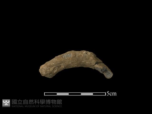 陶把藏品圖，第1張