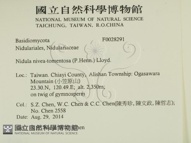 登錄號:F0028291藏品圖，第2張