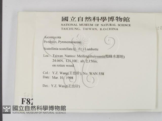 登錄號:F0008291藏品圖，第2張