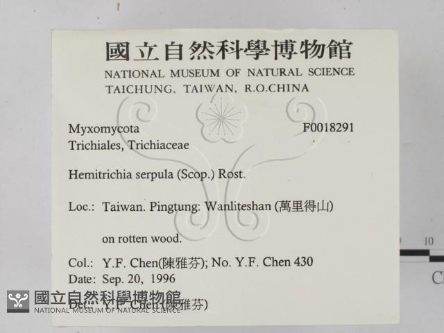登錄號:F0018291藏品圖，第2張