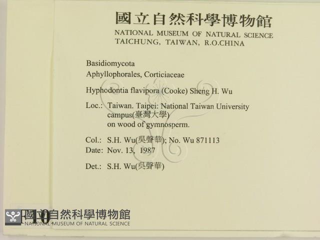 登錄號:F0010291藏品圖，第2張