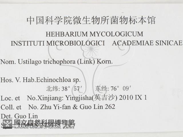 登錄號:F0026291藏品圖，第2張