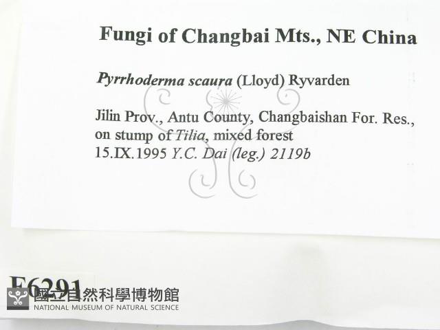 登錄號:F0006291藏品圖，第2張