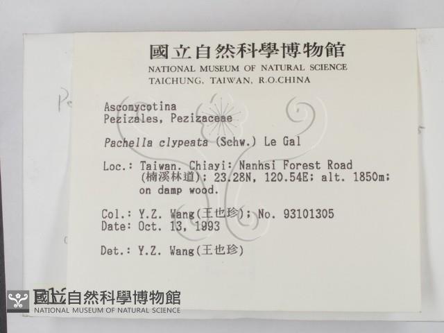 登錄號:F0001291藏品圖，第2張